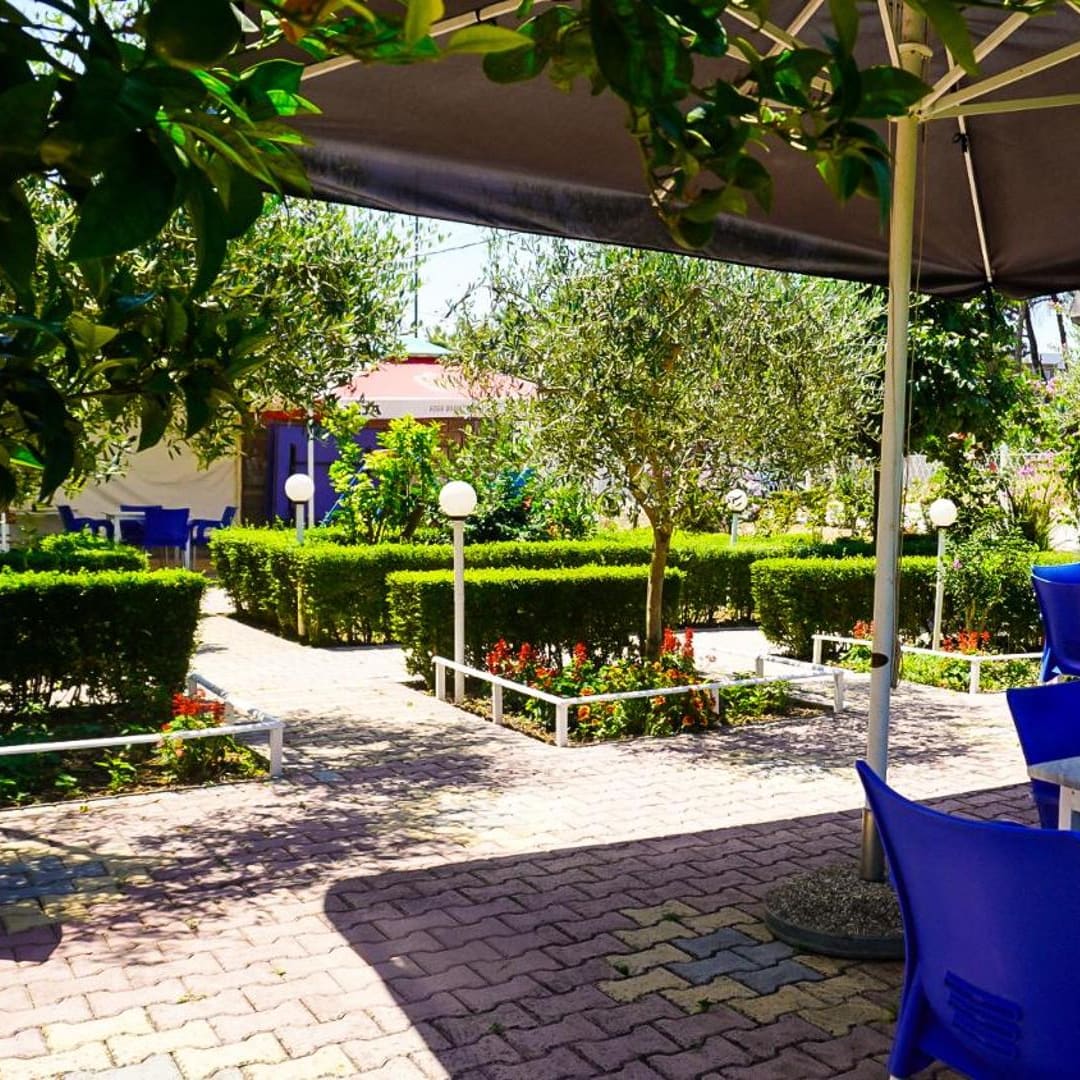 A paved path between clipped hedges and flowerbeds under small olive trees, with blue chairs and tables beneath dark parasols