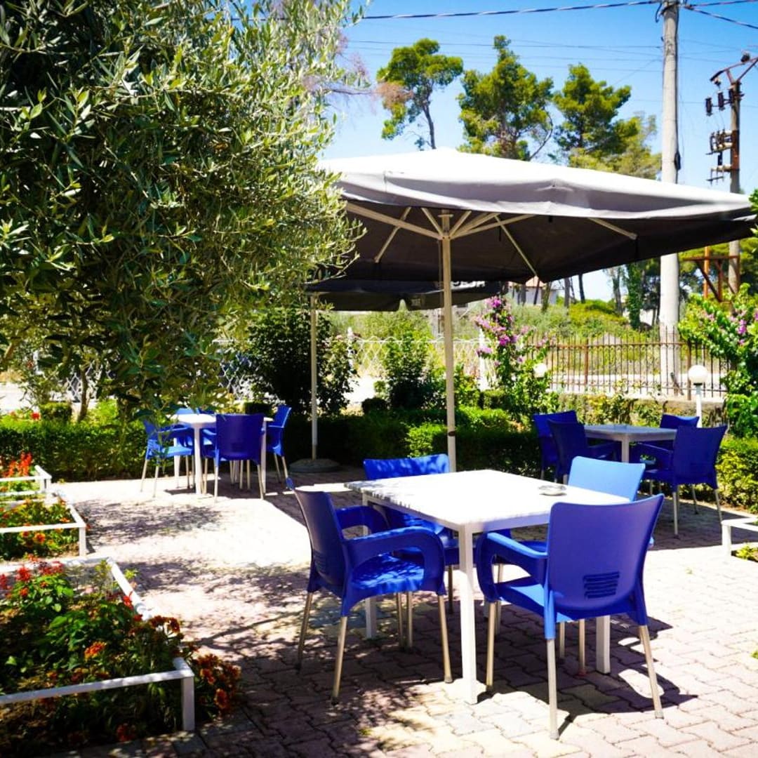 White tables and blue chairs on the paved garden terrace, under an olive tree and a large parasol